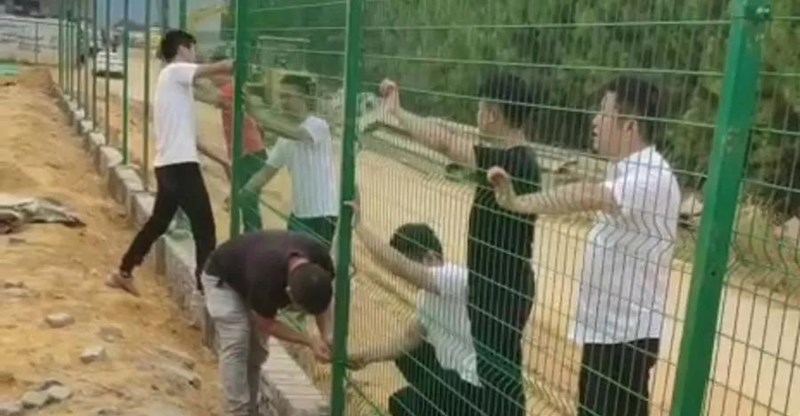 太阳成集团tyc7111cc(中国)_官方网站